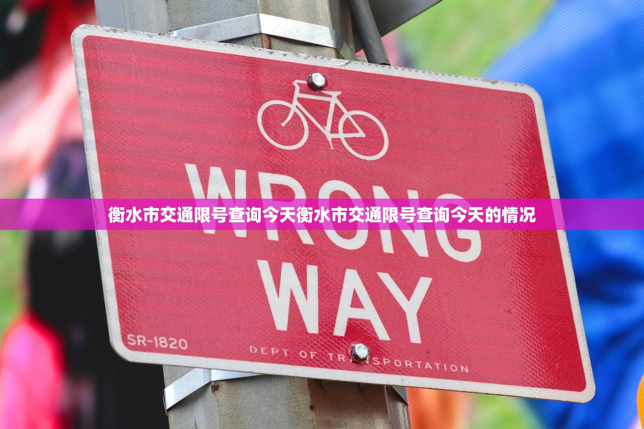 衡水市交通限号查询今天衡水市交通限号查询今天的情况  第1张