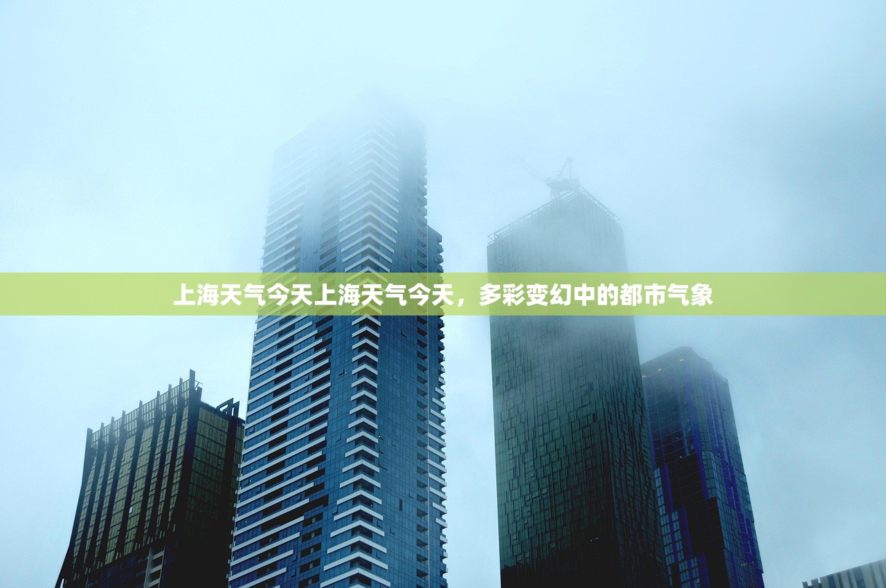 上海天气今天上海天气今天，多彩变幻中的都市气象  第1张