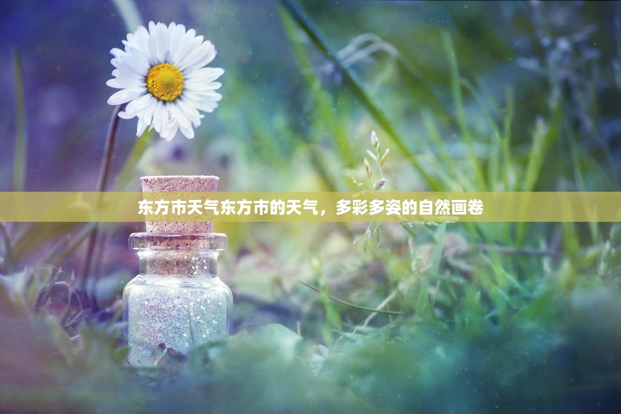 东方市天气东方市的天气，多彩多姿的自然画卷  第1张