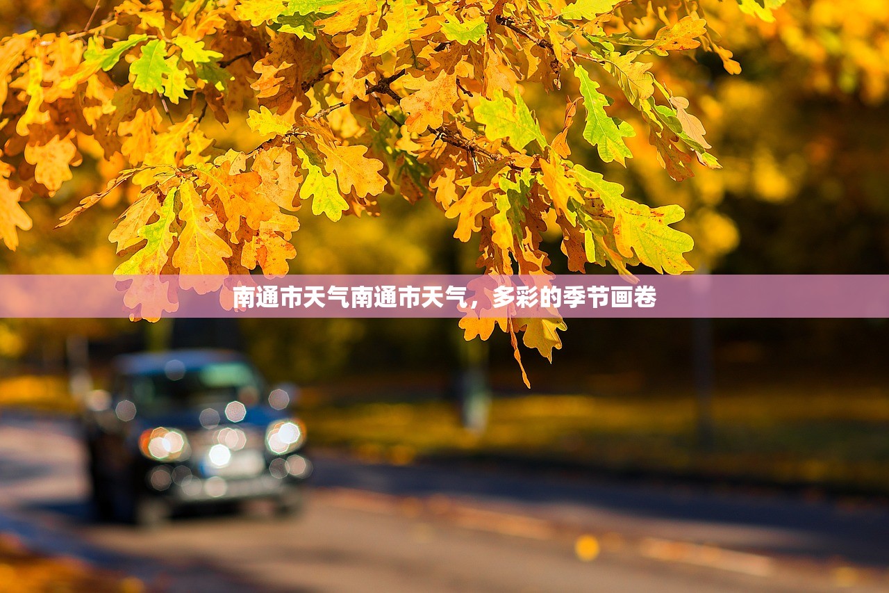 南通市天气南通市天气，多彩的季节画卷  第1张