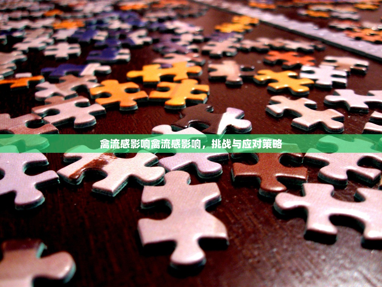禽流感影响禽流感影响，挑战与应对策略  第1张
