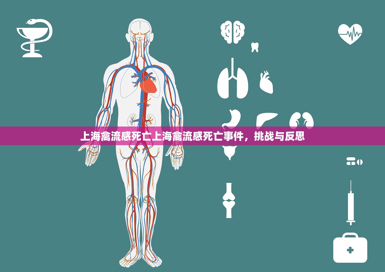 上海禽流感死亡上海禽流感死亡事件，挑战与反思  第1张