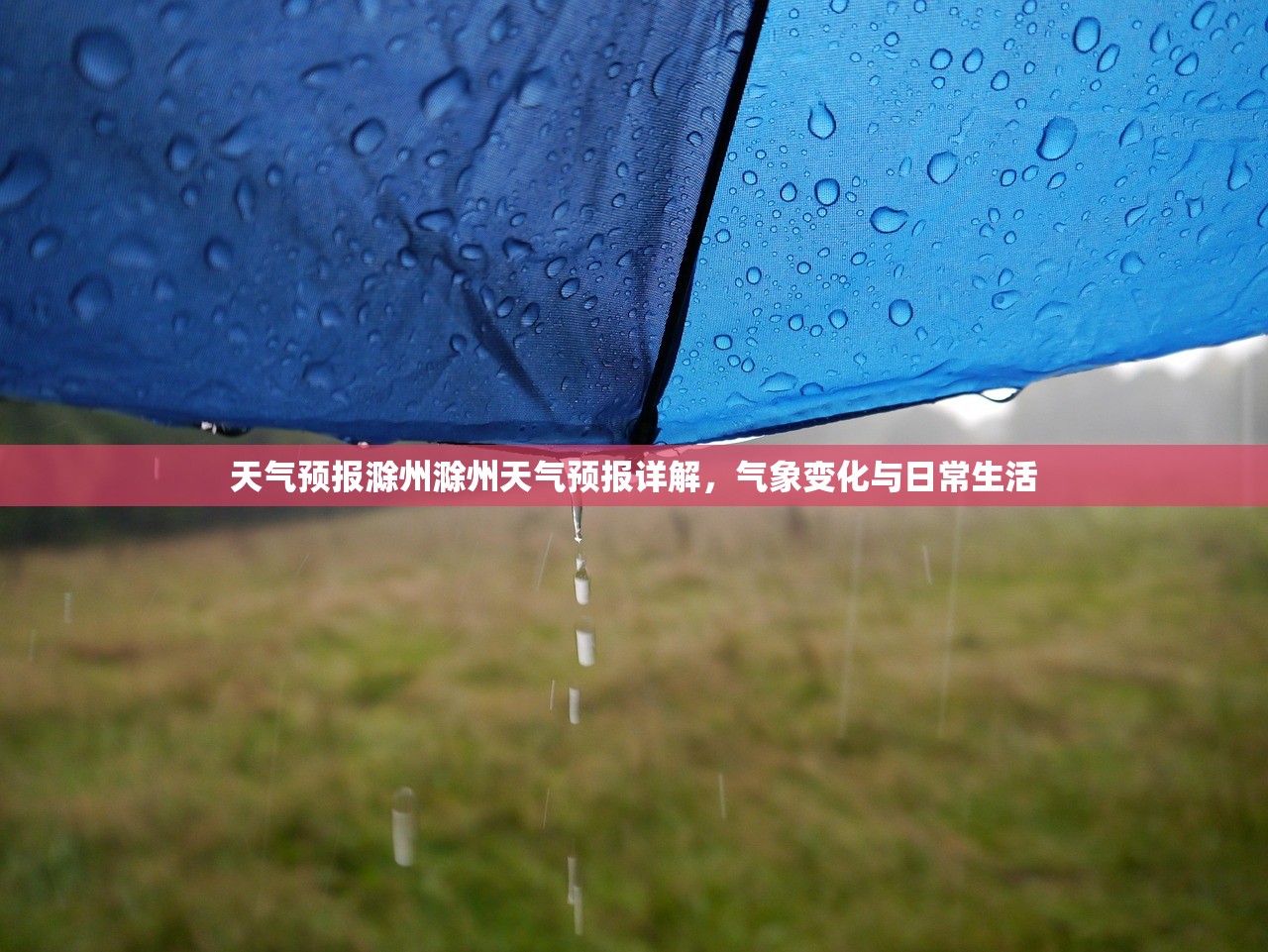 天气预报滁州滁州天气预报详解，气象变化与日常生活  第1张