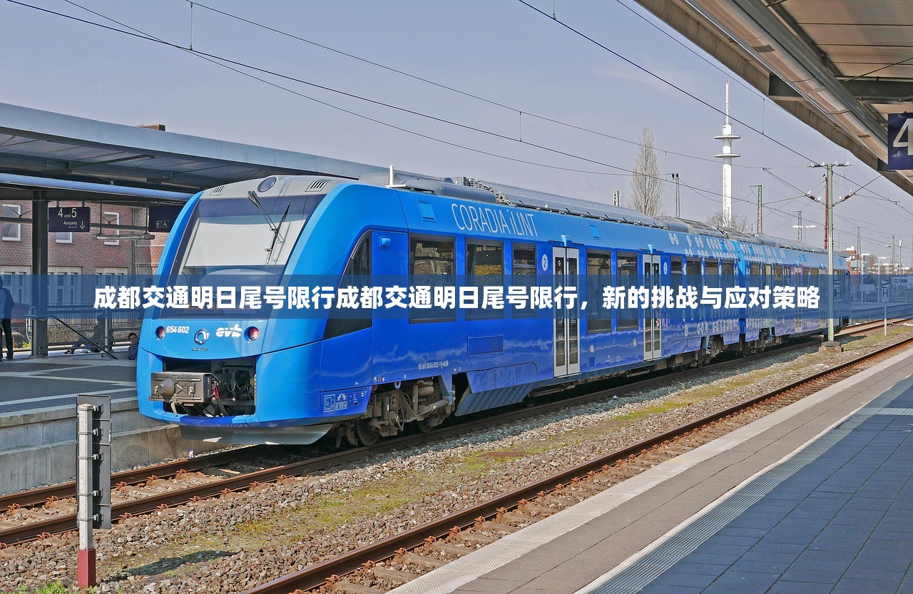 成都交通明日尾号限行成都交通明日尾号限行，新的挑战与应对策略  第1张