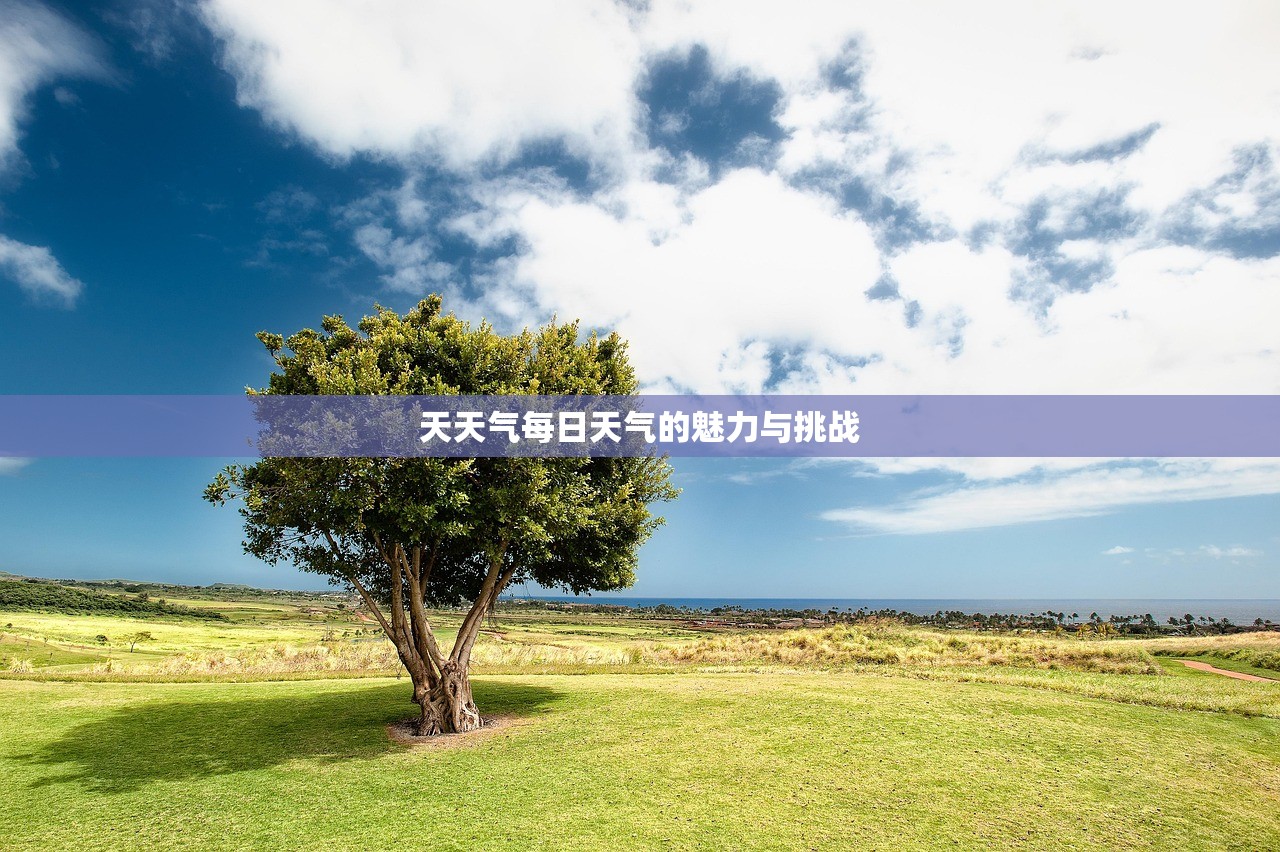 天天气每日天气的魅力与挑战  第1张