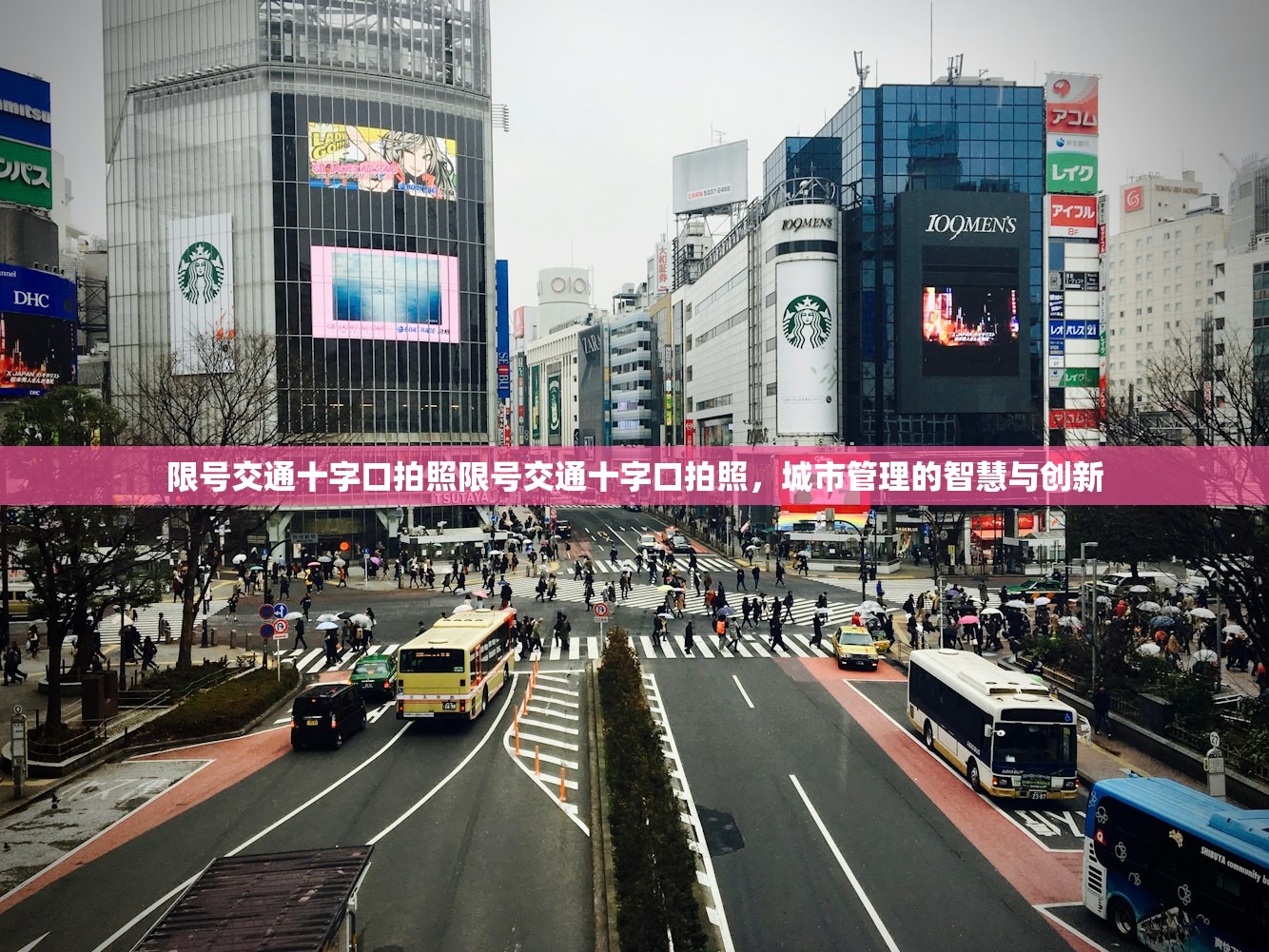限号交通十字口拍照限号交通十字口拍照，城市管理的智慧与创新  第1张