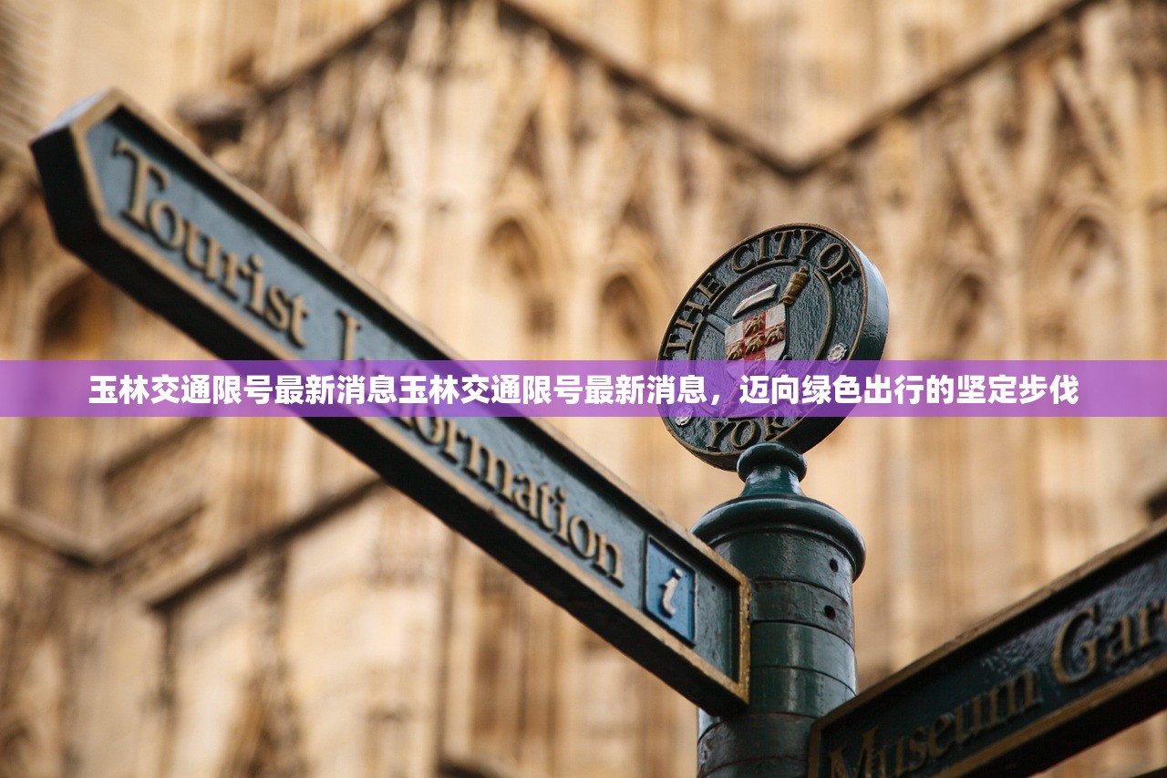 玉林交通限号最新消息玉林交通限号最新消息，迈向绿色出行的坚定步伐  第1张