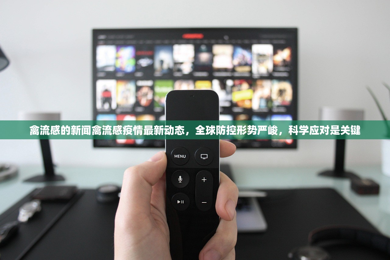 禽流感的新闻禽流感疫情最新动态，全球防控形势严峻，科学应对是关键  第1张