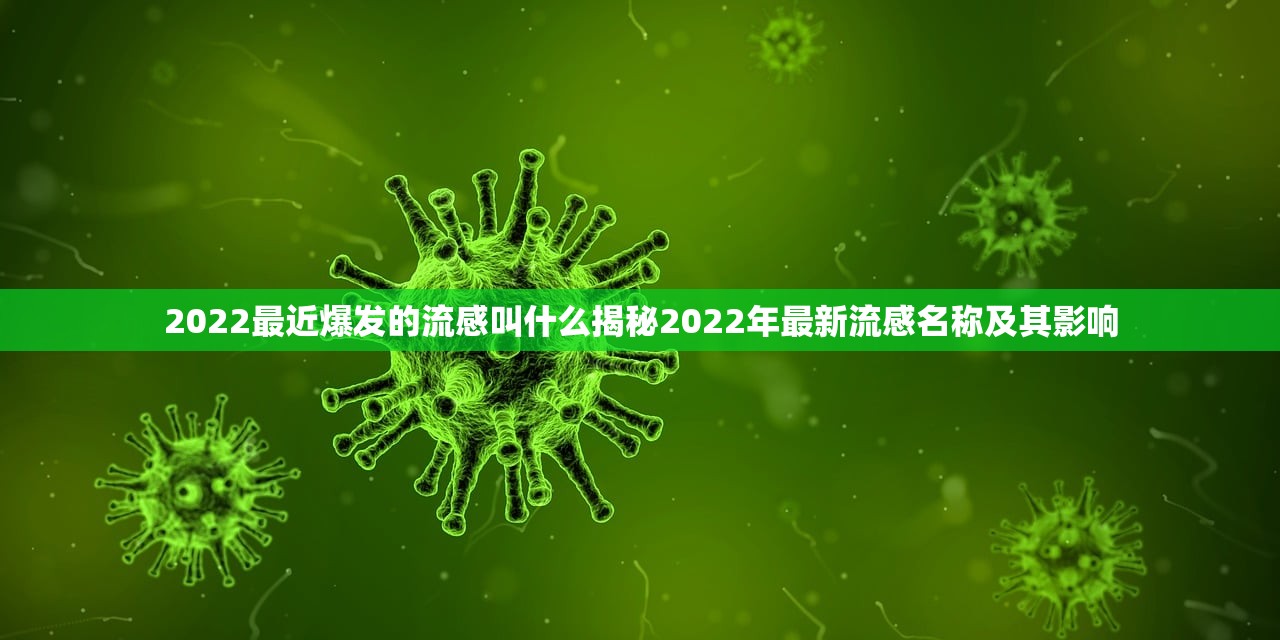 2022最近爆发的流感叫什么揭秘2022年最新流感名称及其影响 第1张 2022最近爆发的流感叫什么揭秘2022年最新流感名称及其影响 第1张