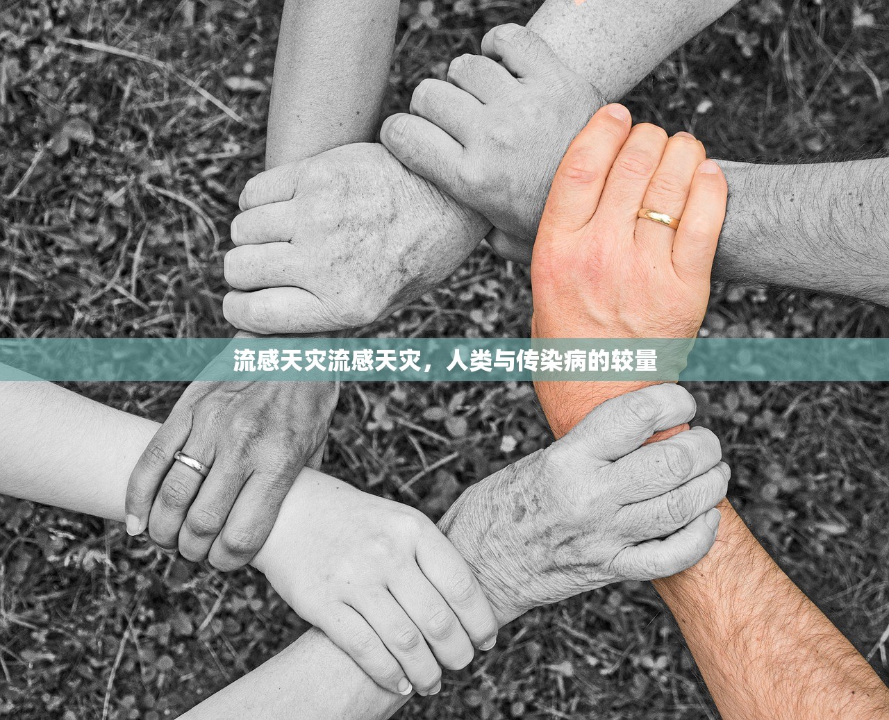 流感天灾流感天灾，人类与传染病的较量  第1张