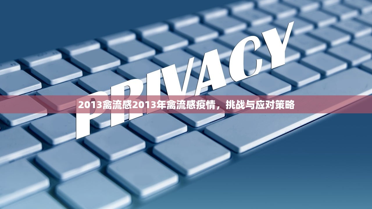 2013禽流感2013年禽流感疫情，挑战与应对策略  第1张