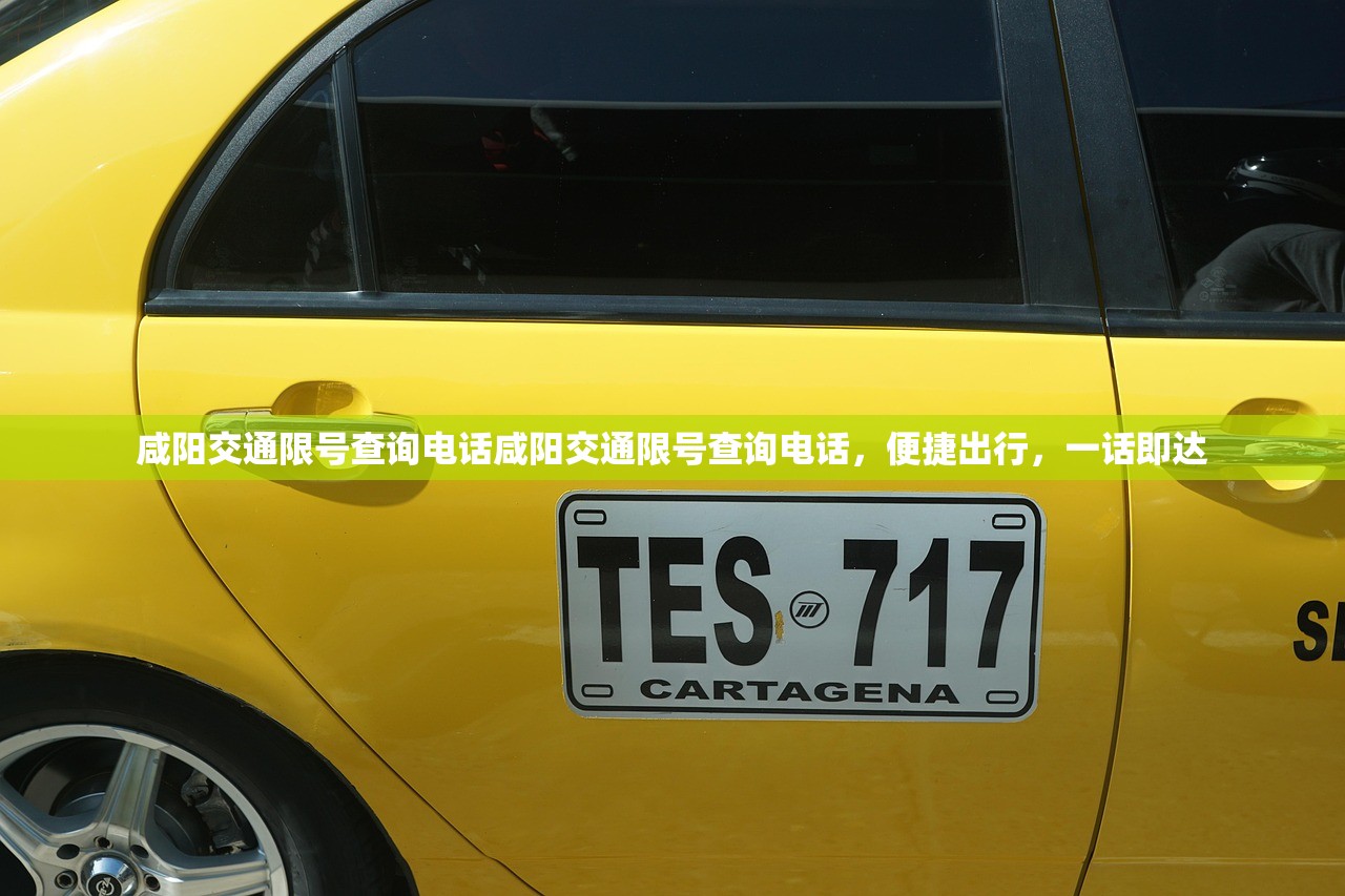 咸阳交通限号查询电话咸阳交通限号查询电话，便捷出行，一话即达  第1张