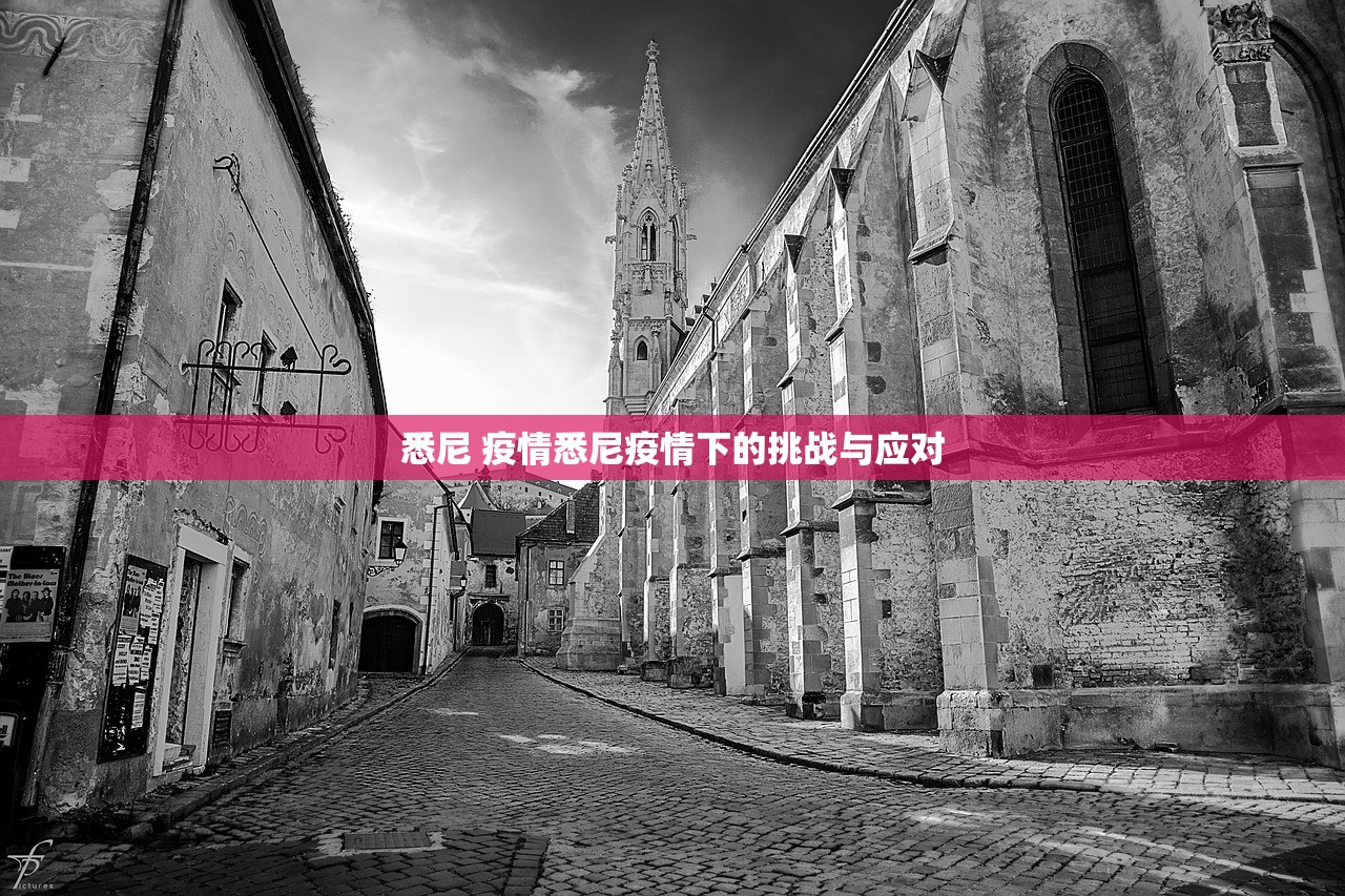 悉尼 疫情悉尼疫情下的挑战与应对  第1张