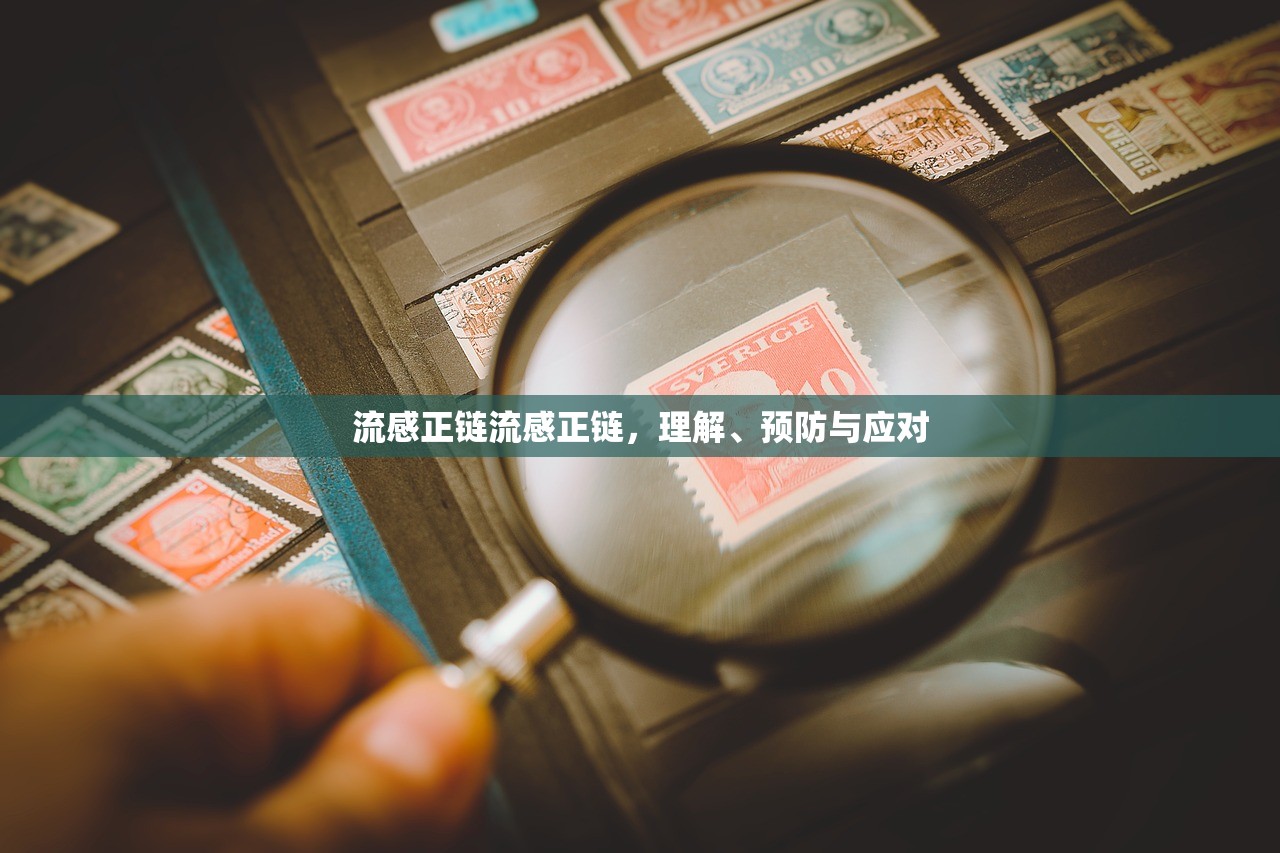 流感正链流感正链，理解、预防与应对  第1张