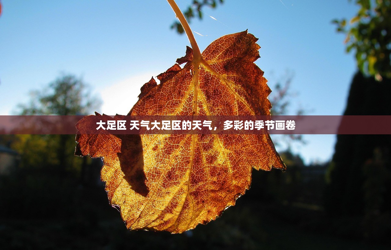 大足区 天气大足区的天气，多彩的季节画卷  第1张