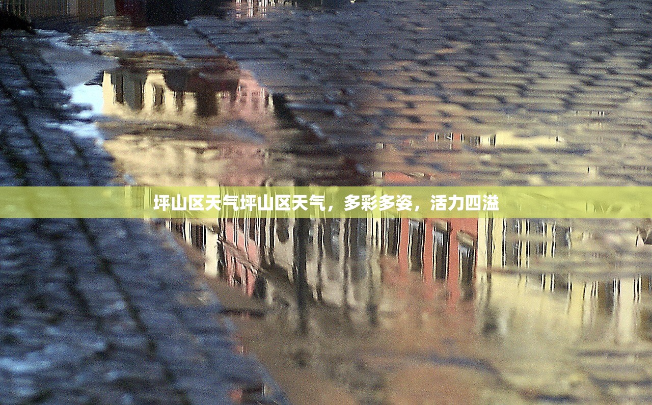 坪山区天气坪山区天气，多彩多姿，活力四溢  第1张