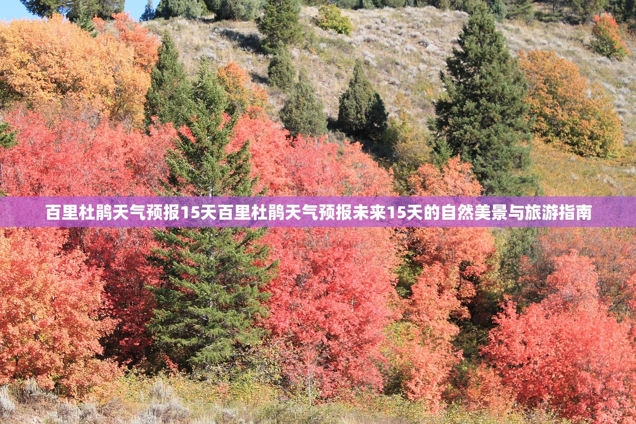 百里杜鹃天气预报15天百里杜鹃天气预报未来15天的自然美景与旅游指南 第1张 百里杜鹃天气预报15天百里杜鹃天气预报未来15天的自然美景与旅游指南 第1张