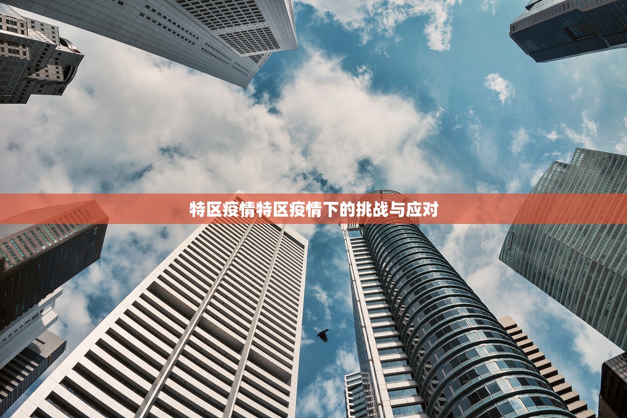 特区疫情特区疫情下的挑战与应对  第1张
