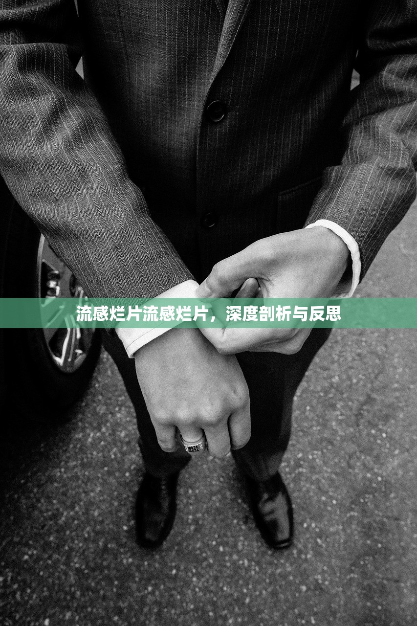 流感烂片流感烂片,深度剖析与反思 第1张 流感烂片流感烂片,深度剖析与反思 第1张