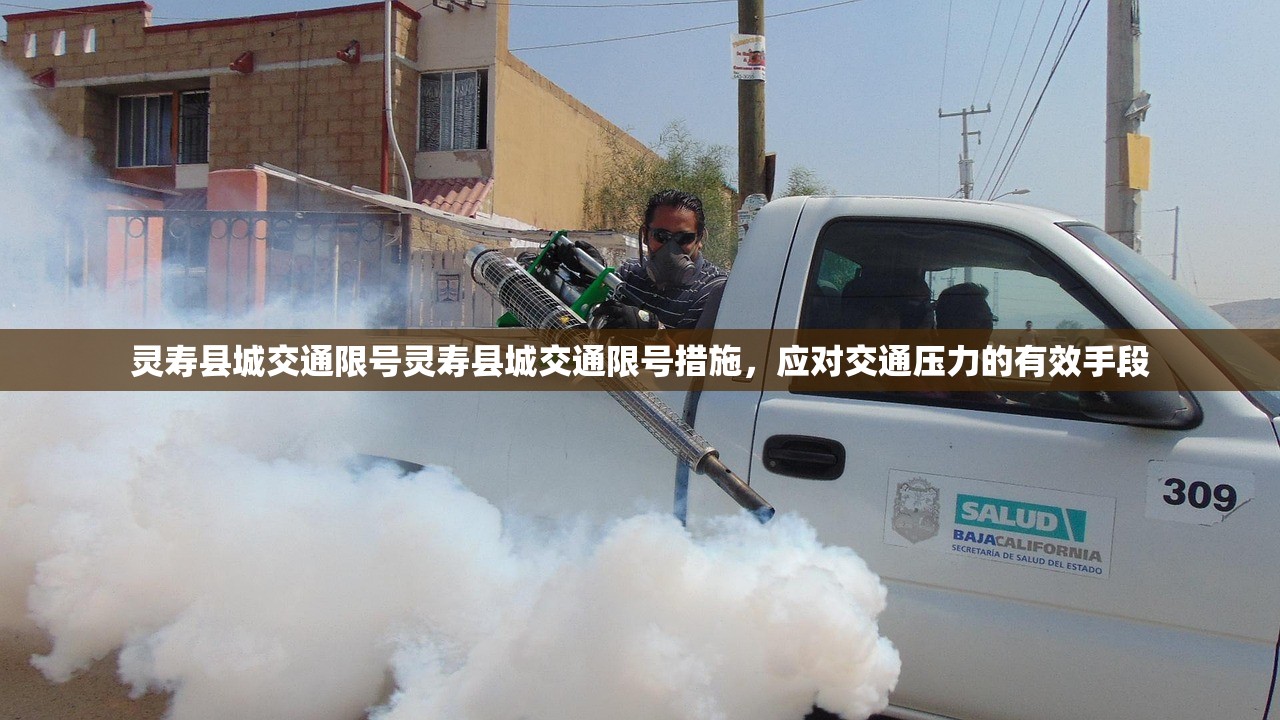 灵寿县城交通限号灵寿县城交通限号措施，应对交通压力的有效手段  第1张