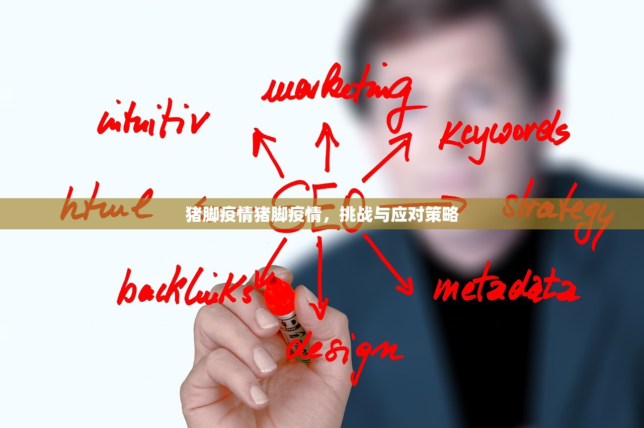 猪脚疫情猪脚疫情，挑战与应对策略  第1张