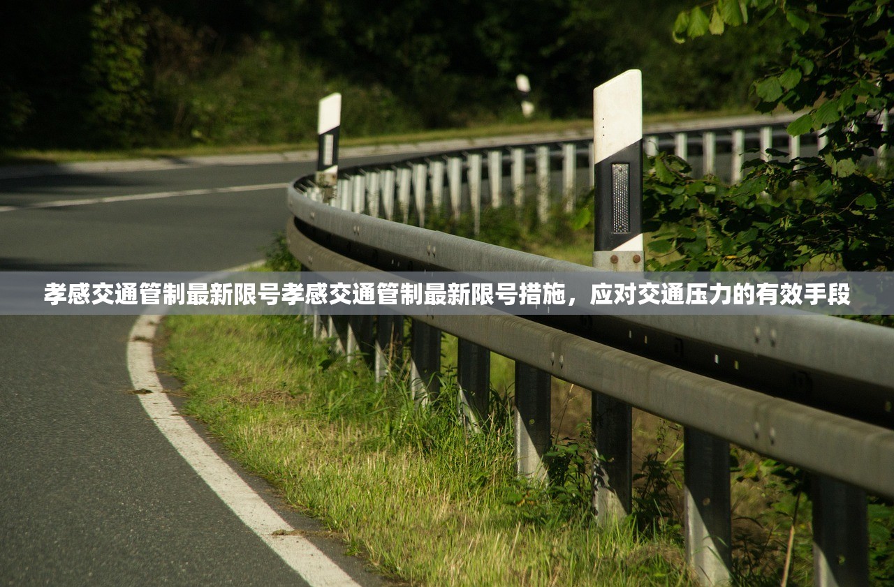 孝感交通管制最新限号孝感交通管制最新限号措施，应对交通压力的有效手段  第1张