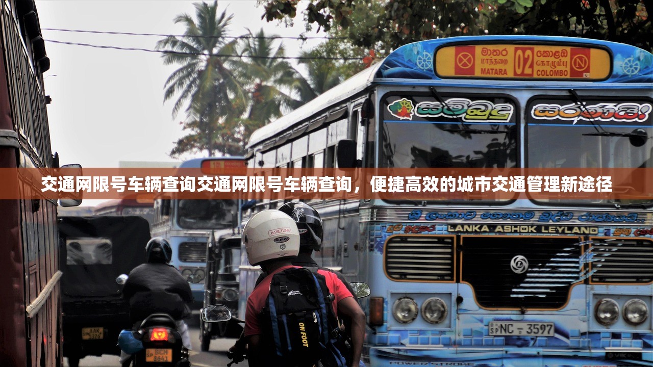 交通网限号车辆查询交通网限号车辆查询，便捷高效的城市交通管理新途径  第1张