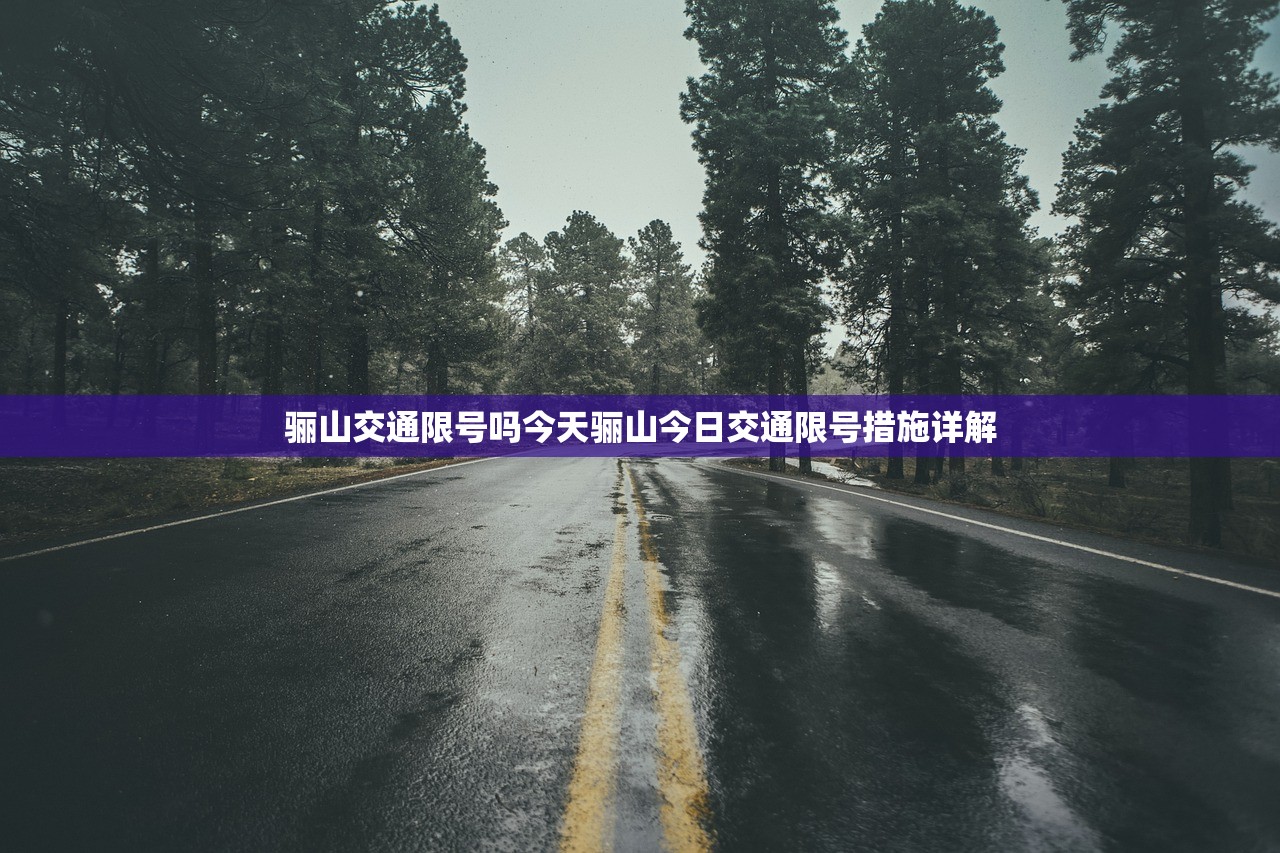 骊山交通限号吗今天骊山今日交通限号措施详解  第1张