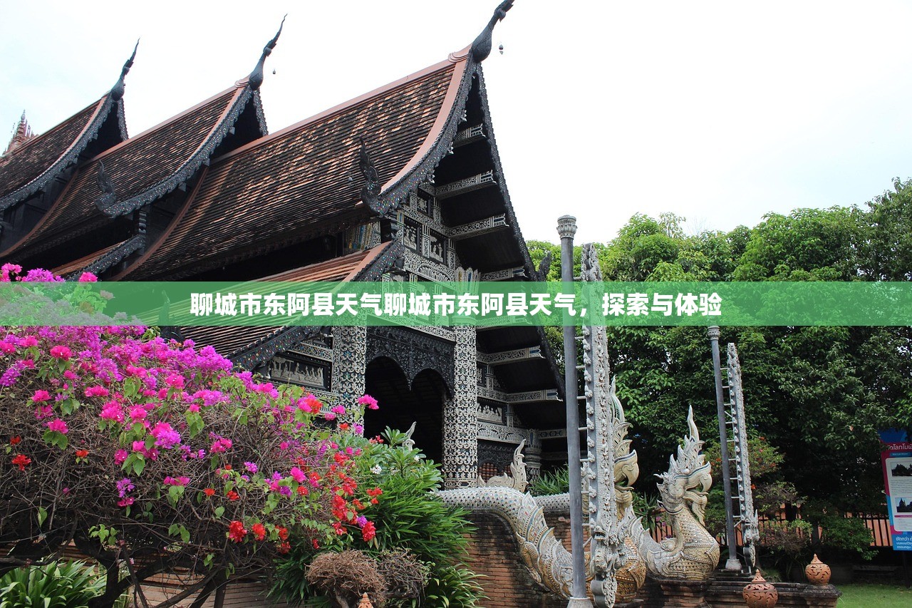 聊城市东阿县天气聊城市东阿县天气，探索与体验  第1张