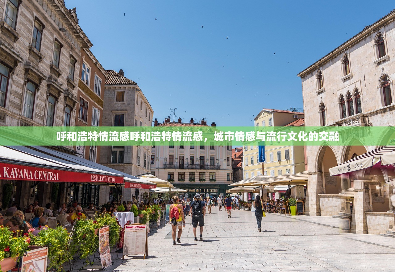 呼和浩特情流感呼和浩特情流感，城市情感与流行文化的交融  第1张