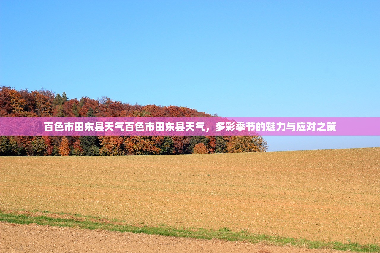 百色市田东县天气百色市田东县天气，多彩季节的魅力与应对之策  第1张