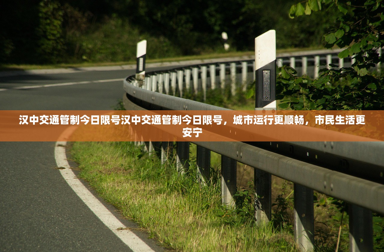 汉中交通管制今日限号汉中交通管制今日限号，城市运行更顺畅，市民生活更安宁  第1张