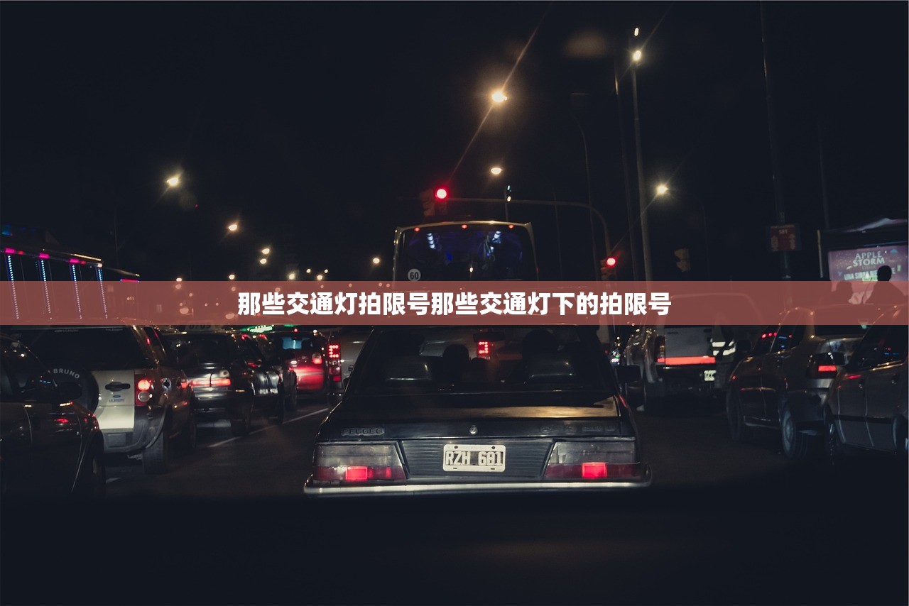 那些交通灯拍限号那些交通灯下的拍限号  第1张
