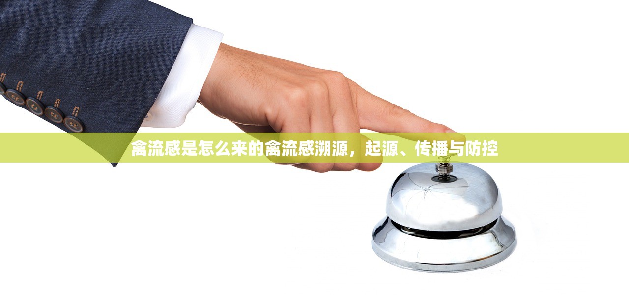 禽流感是怎么来的禽流感溯源，起源、传播与防控  第1张