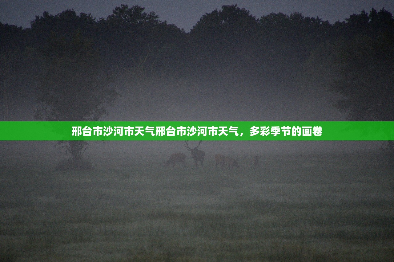 邢台市沙河市天气邢台市沙河市天气，多彩季节的画卷  第1张