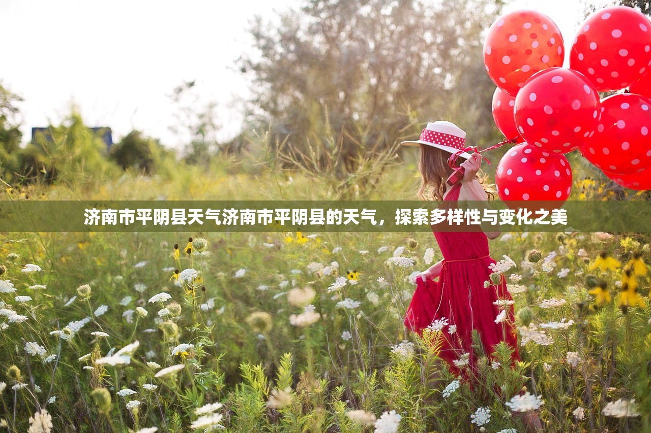 济南市平阴县天气济南市平阴县的天气，探索多样性与变化之美  第1张