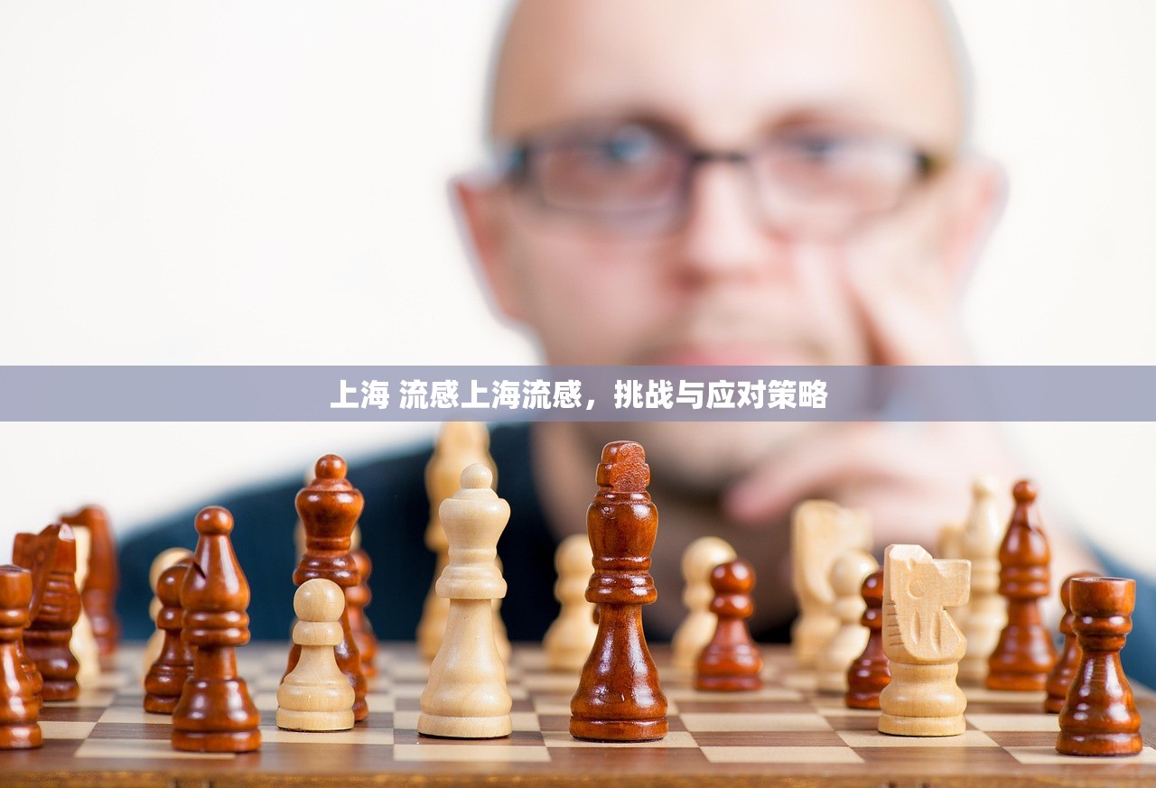 上海 流感上海流感,挑战与应对策略 第1张 上海 流感上海流感,挑战与应对策略 第1张