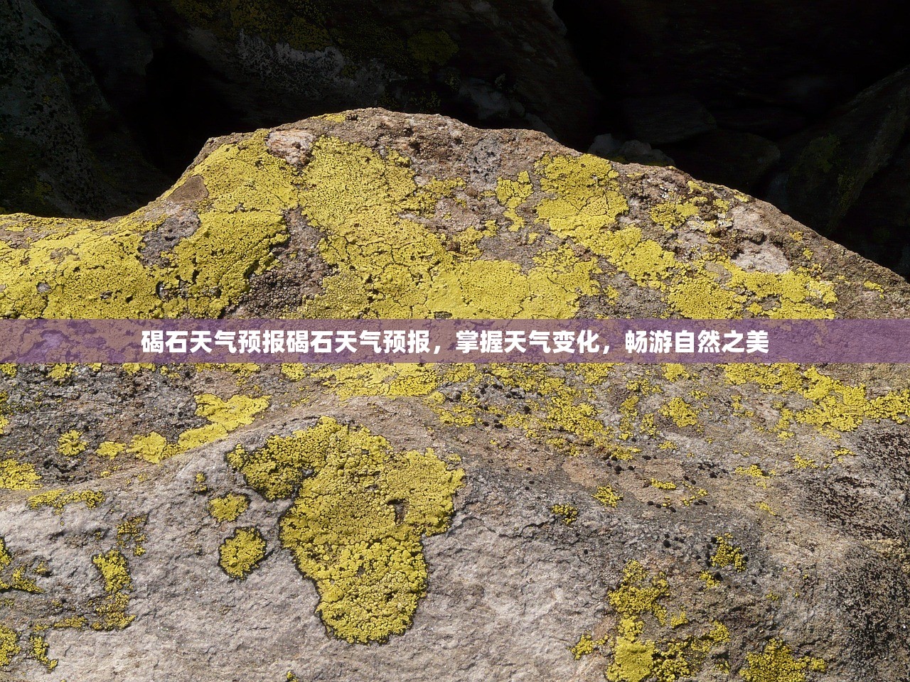 碣石天气预报碣石天气预报，掌握天气变化，畅游自然之美  第1张