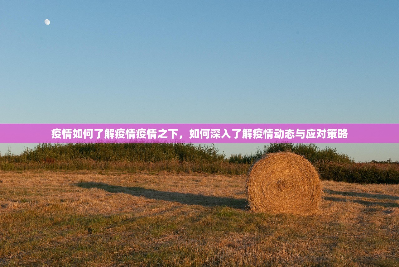疫情如何了解疫情疫情之下,如何深入了解疫情动态与应对策略 第1张 疫情如何了解疫情疫情之下,如何深入了解疫情动态与应对策略 第1张