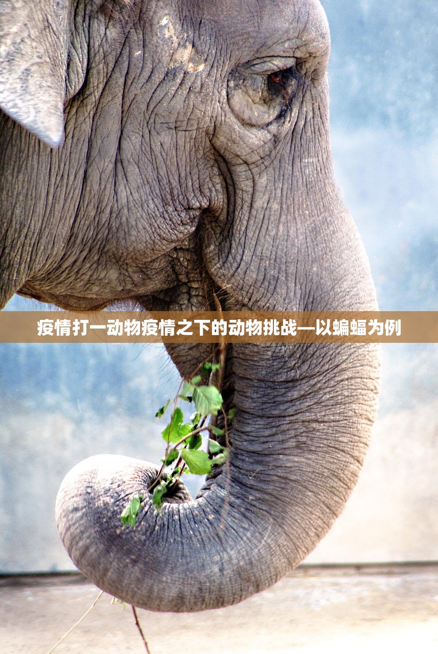 疫情打一动物疫情之下的动物挑战—以蝙蝠为例  第1张