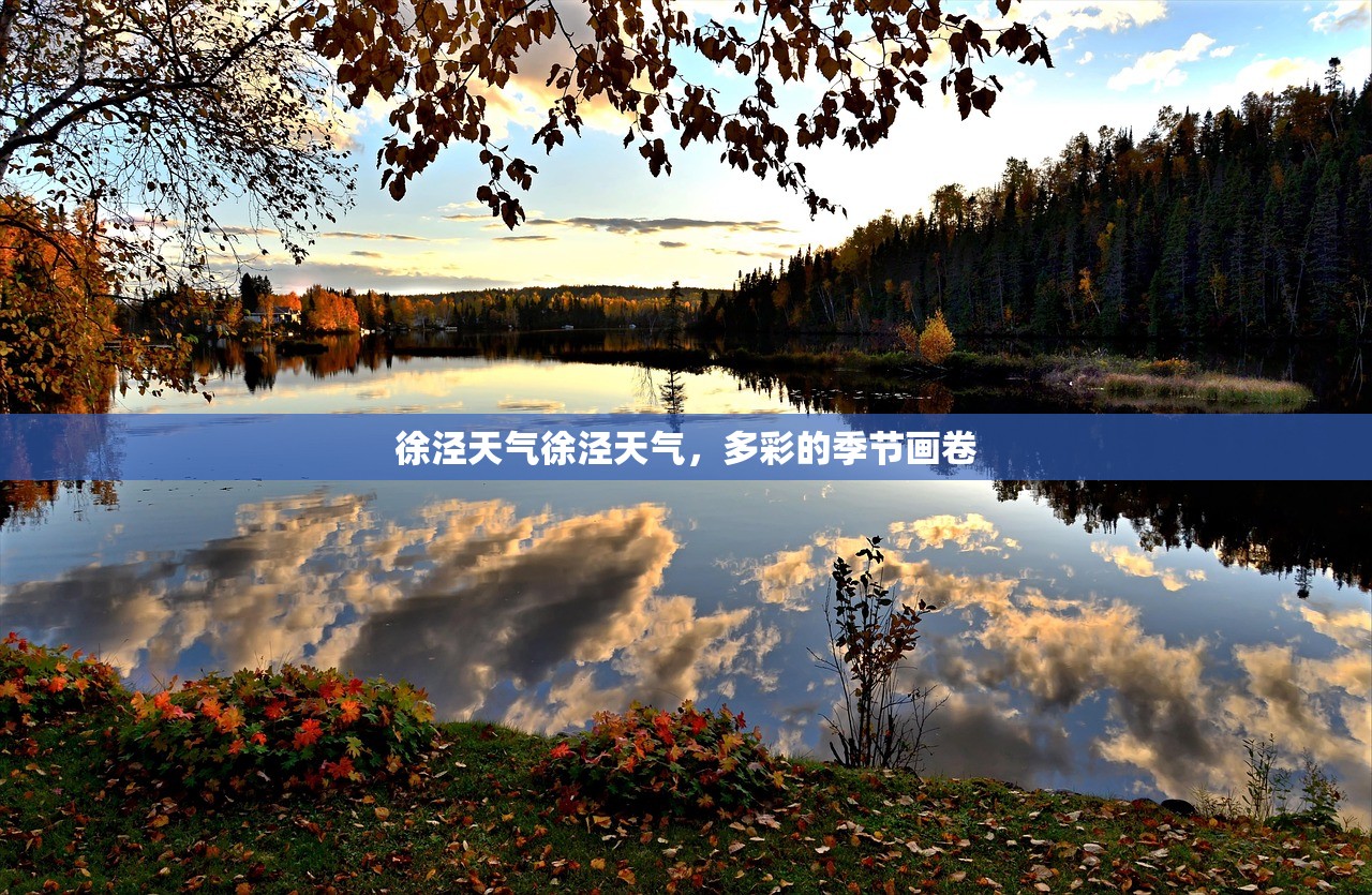 徐泾天气徐泾天气，多彩的季节画卷  第1张