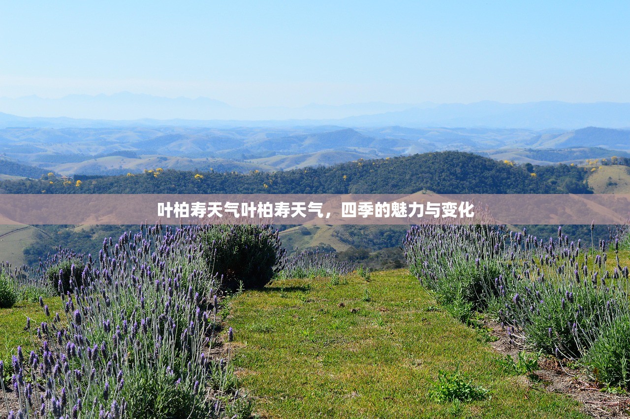 叶柏寿天气叶柏寿天气，四季的魅力与变化  第1张