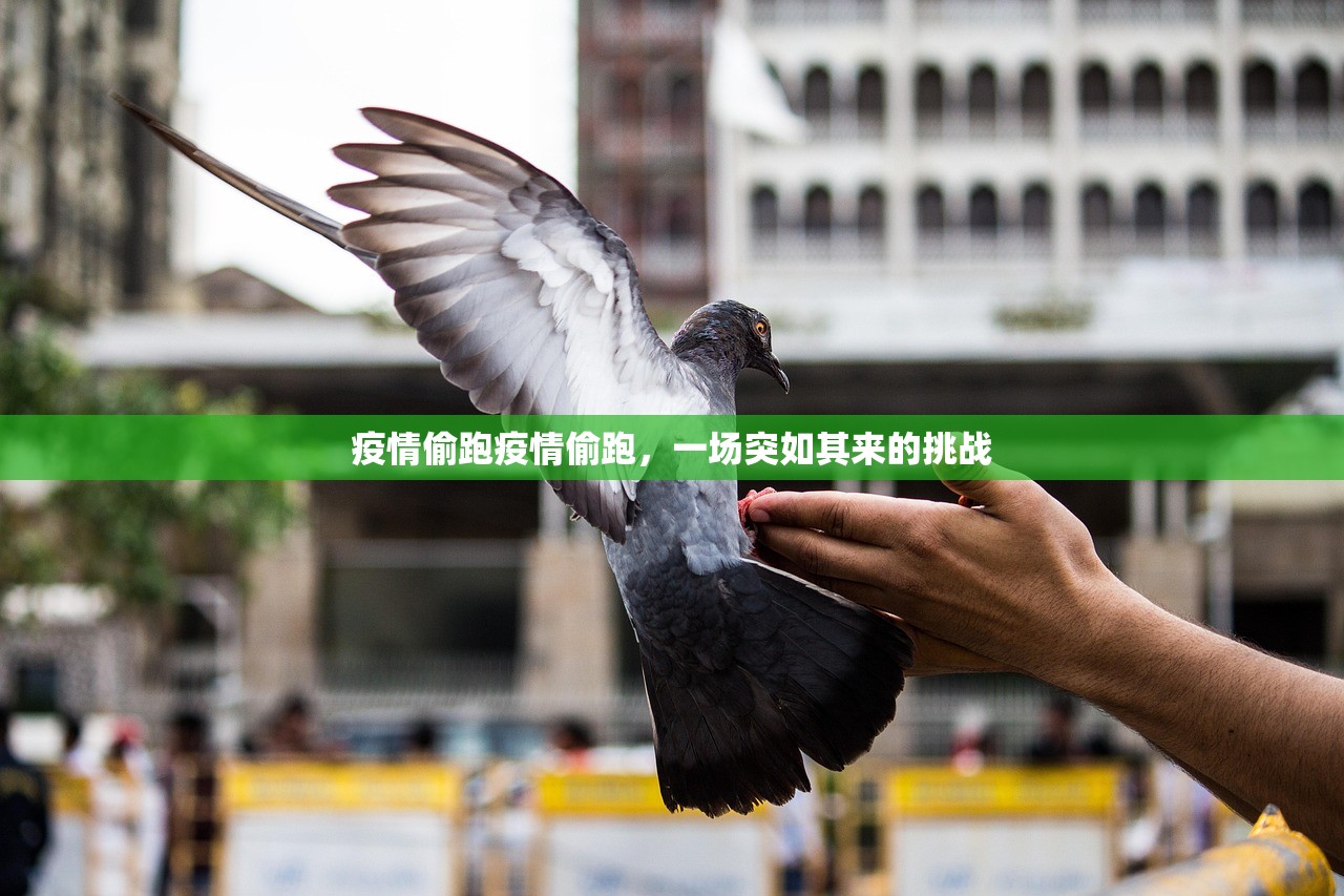 疫情偷跑疫情偷跑，一场突如其来的挑战  第1张