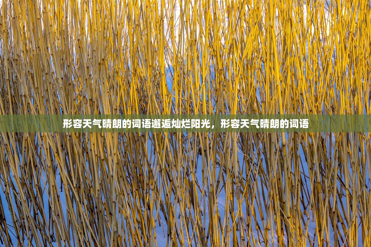 形容天气晴朗的词语邂逅灿烂阳光，形容天气晴朗的词语  第1张