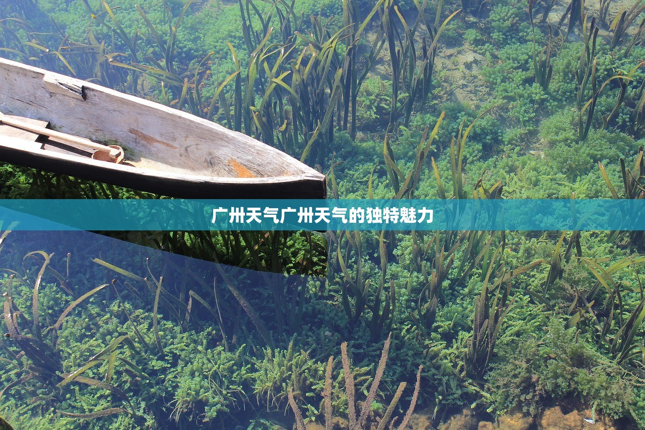 广卅天气广卅天气的独特魅力  第1张