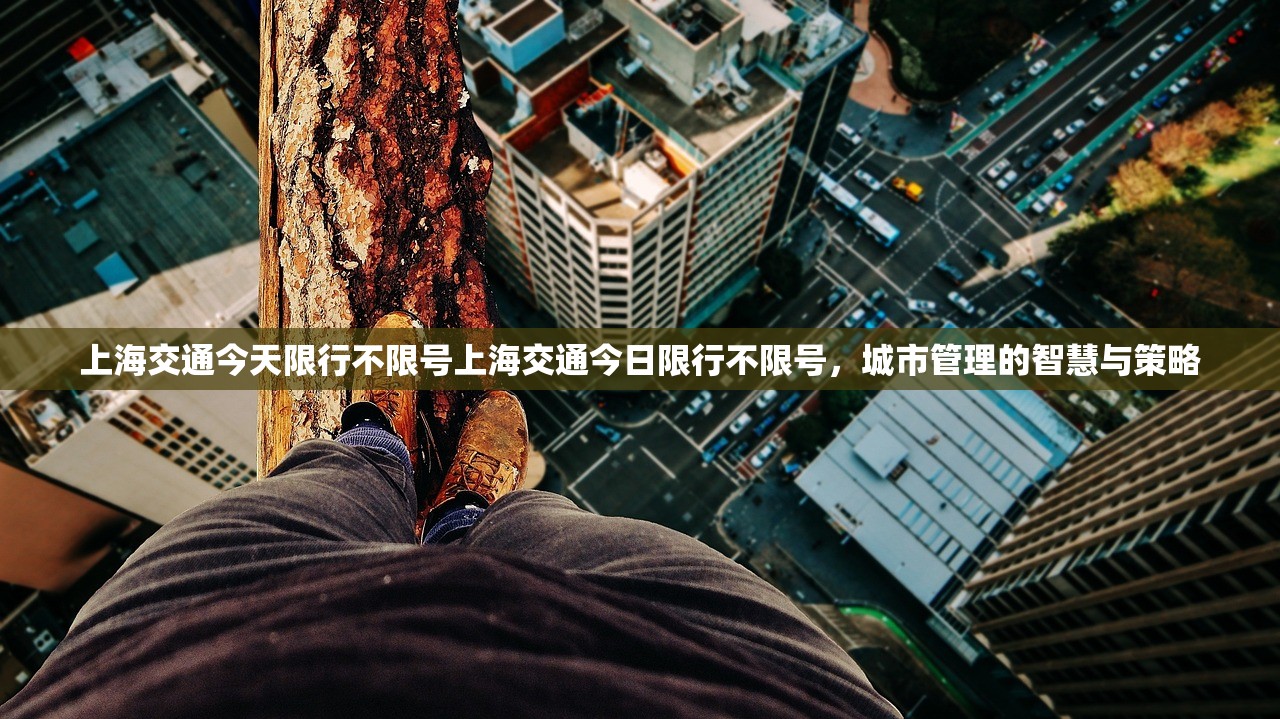 上海交通今天限行不限号上海交通今日限行不限号，城市管理的智慧与策略  第1张