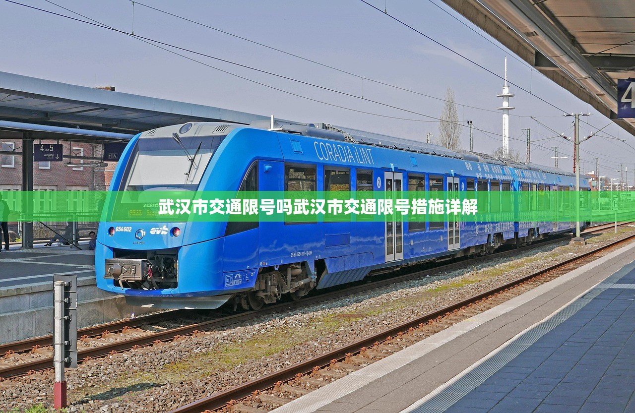 武汉市交通限号吗武汉市交通限号措施详解  第1张