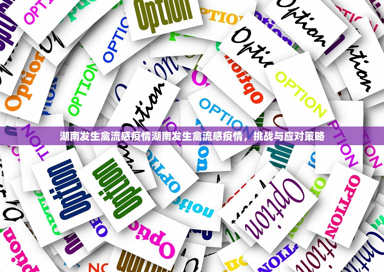 湖南发生禽流感疫情湖南发生禽流感疫情，挑战与应对策略  第1张