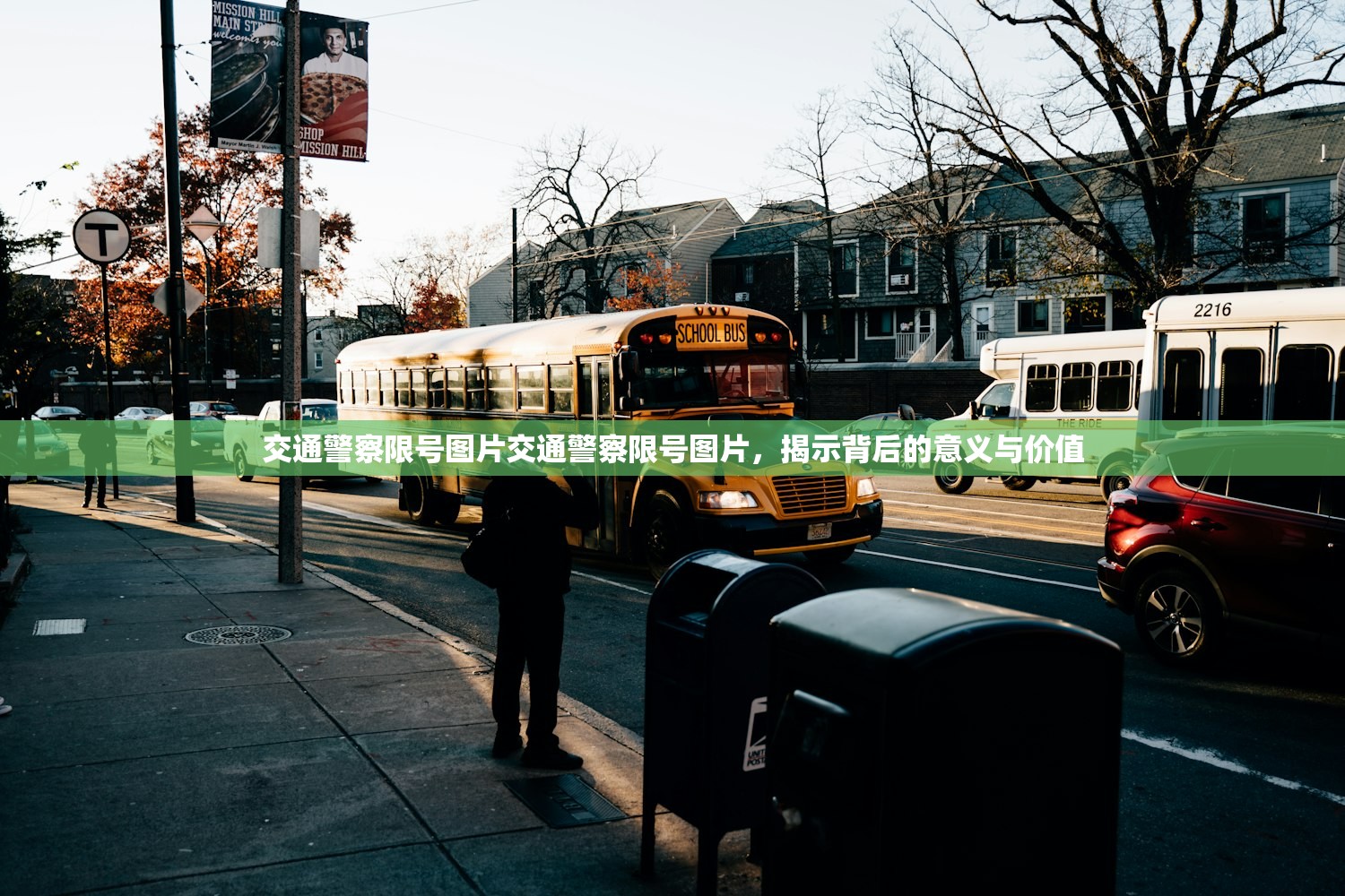 交通警察限号图片交通警察限号图片，揭示背后的意义与价值  第1张