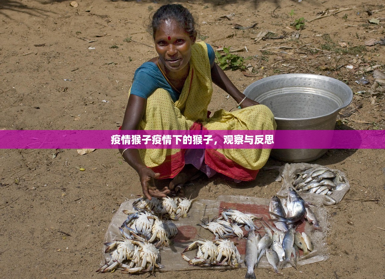 疫情猴子疫情下的猴子，观察与反思  第1张